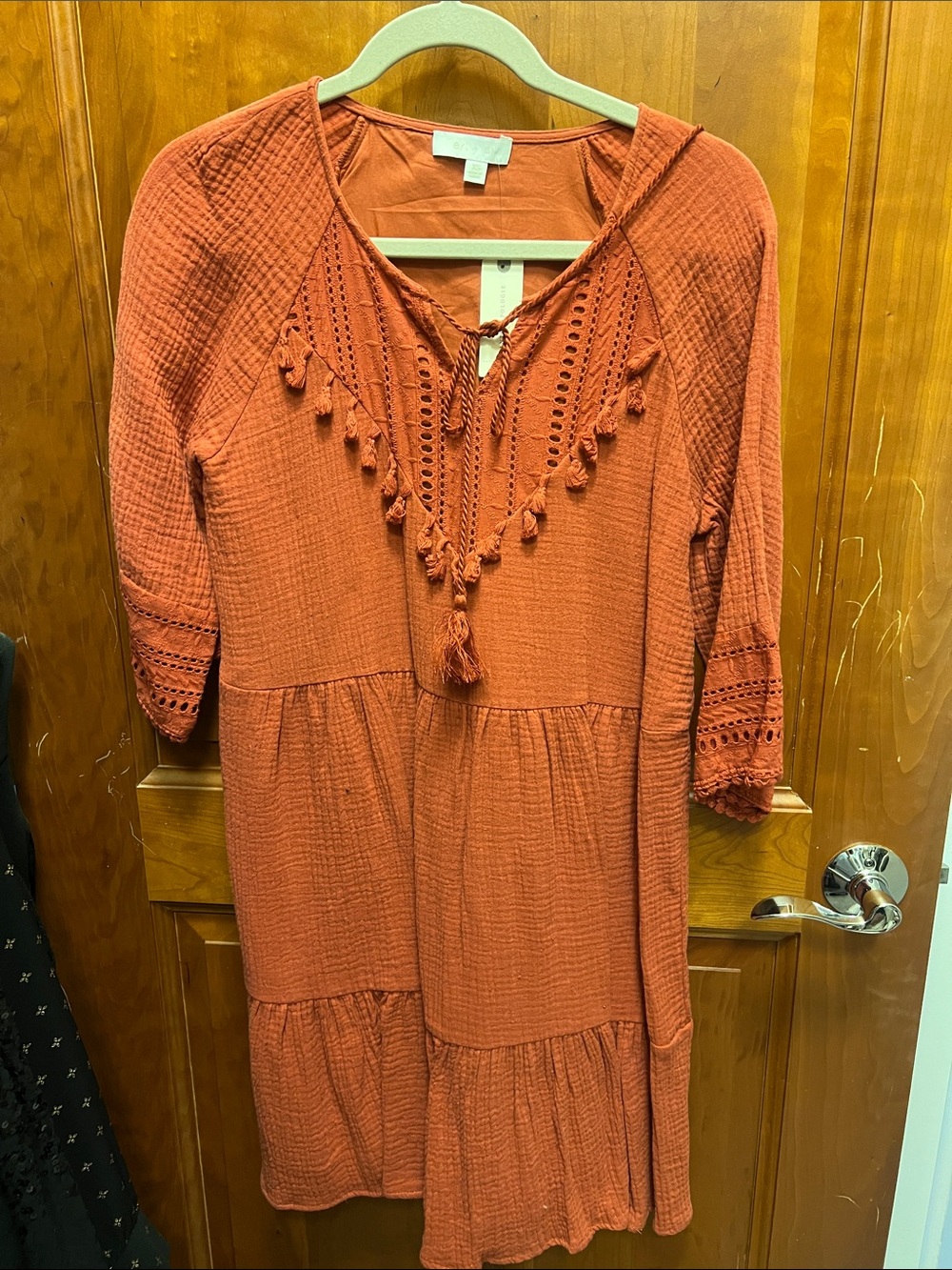 Anthropologie Rust Tassel Eyelet Midi Dress